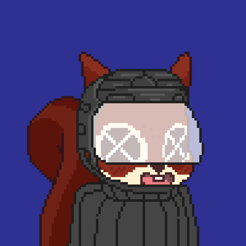 Pixel Squirrels #4439